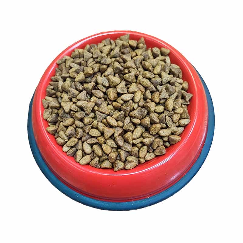 غذای توله سگ رفلکس طعم بره و برنج فله وزن 1 کیلوگرم_6616bfaa58697.jpeg غذای توله سگ رفلکس طعم بره و برنج فله وزن 1 کیلوگرم - تصویر 1