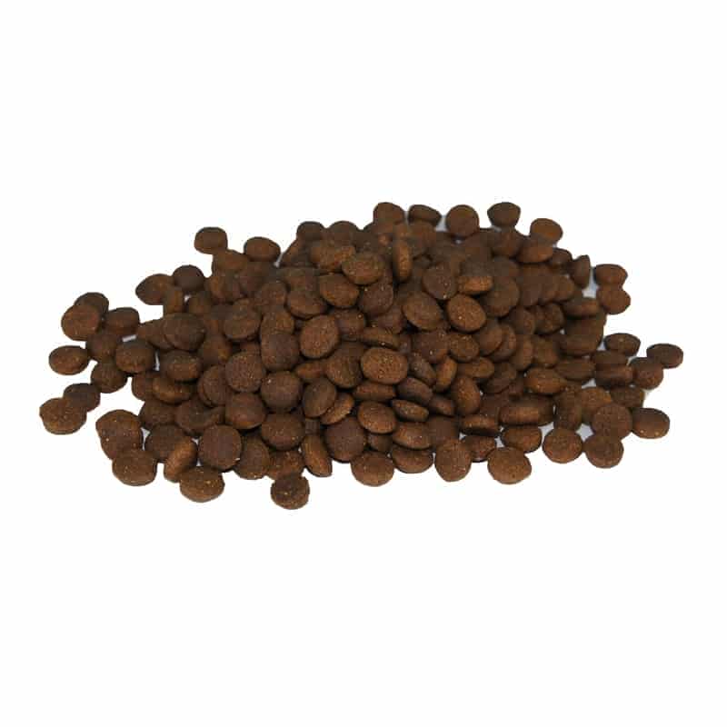 غذای خشک حمایتی سگ فله وزن یک کیلوگرم_6616bcd5e343c.jpeg غذای خشک حمایتی سگ فله وزن یک کیلوگرم - تصویر 1
