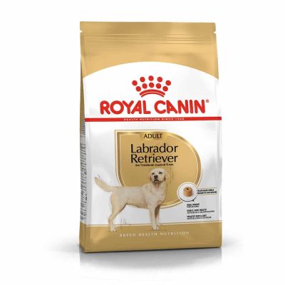 غذای خشک سگ بالغ رویال کنین مدل Labrador Retriever Adult نژاد لابرادور رتریور