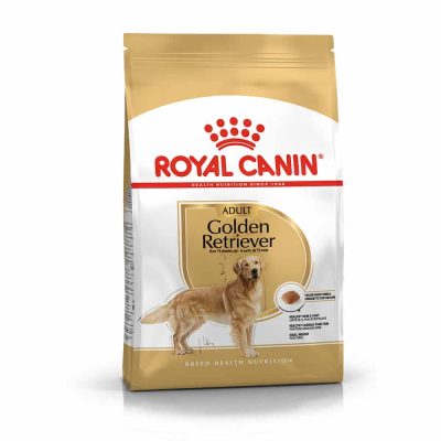 غذای خشک سگ رویال کنین مدل Golden Retriever Adult مناسب سگ رتریور بالغ