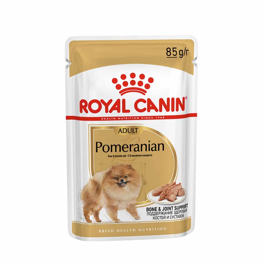 پوچ سگ رویال کنین مدل Pomeranian مناسب نژاد پامرانین_6616cc5ca0984.jpeg پوچ سگ رویال کنین مدل Pomeranian مناسب نژاد پامرانین - تصویر 1