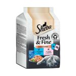 پوچ گربه شبا Sheba مولتی پک با طعم ماهی سالمون و ماهی تن در سس وزن 300 گرم
