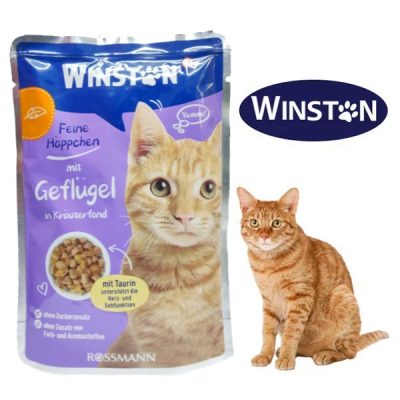 پوچ گربه وینستون Winston طعم مرغ در سس سبزیجات وزن 100 گرم