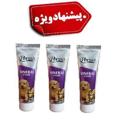 خمیر مینرال سگ و گربه پرسا وزن 100 گرمی (پک سه عددی)